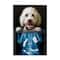 Stupell Industries Funny Dog X-Ray Snacks Wall Plaque Art